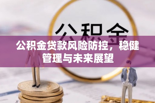 创业公积金贷款风险防控，稳健管理与未来展望