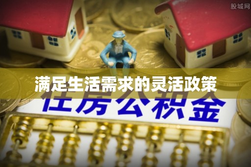 创业满足生活需求的灵活政策