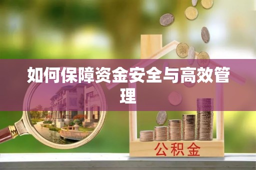 创业如何保障资金安全与高效管理