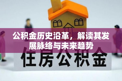 创业公积金历史沿革，解读其发展脉络与未来趋势
