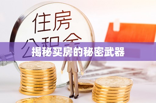 创业揭秘买房的秘密武器