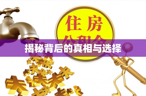 创业揭秘背后的真相与选择