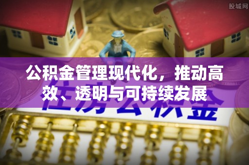 创业公积金管理现代化，推动高效、透明与可持续发展