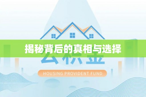 创业揭秘背后的真相与选择
