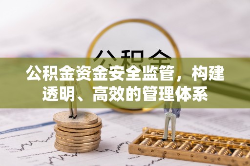 创业公积金资金安全监管，构建透明、高效的管理体系