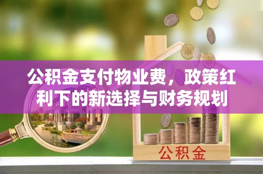 创业公积金支付物业费，政策红利下的新选择与财务规划