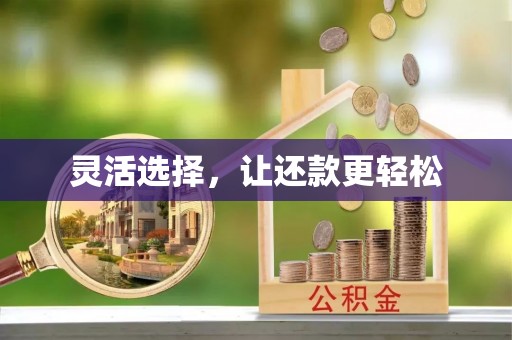创业灵活选择，让还款更轻松