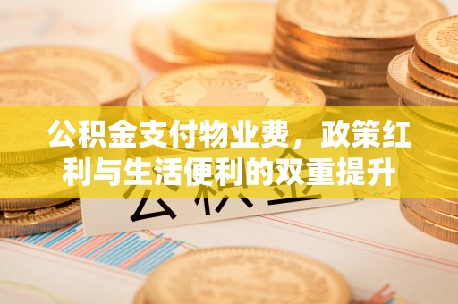 创业公积金支付物业费，政策红利与生活便利的双重提升