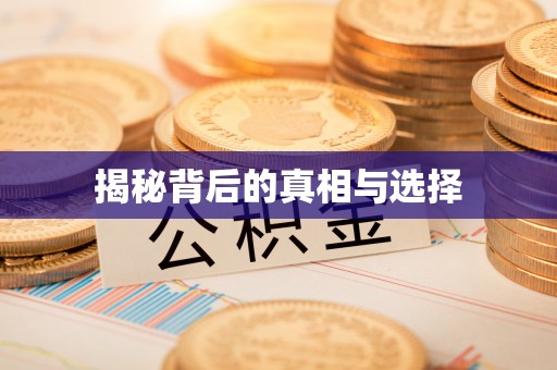 创业揭秘背后的真相与选择
