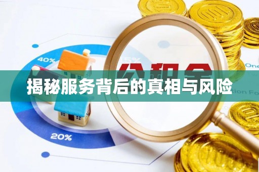 创业揭秘服务背后的真相与风险