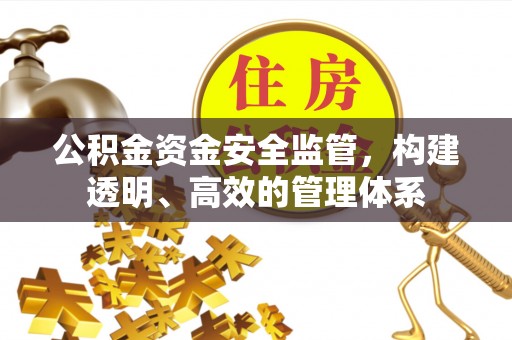 创业公积金资金安全监管，构建透明、高效的管理体系