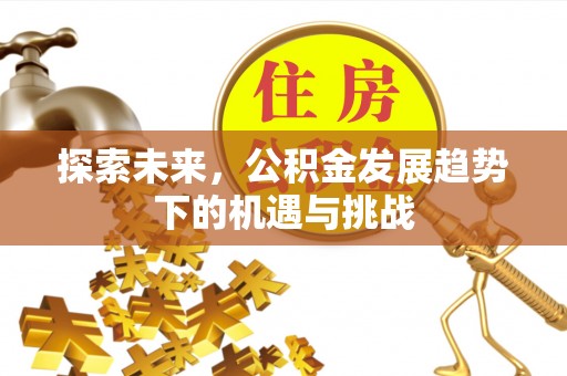 创业探索未来，公积金发展趋势下的机遇与挑战