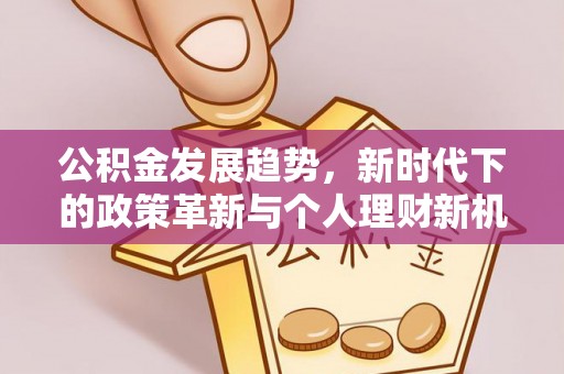 创业公积金发展趋势，新时代下的政策革新与个人理财新机遇