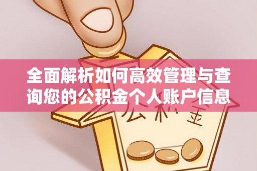 创业全面解析如何高效管理与查询您的公积金个人账户信息