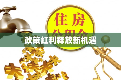 创业政策红利释放新机遇