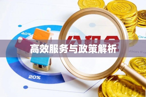 创业高效服务与政策解析
