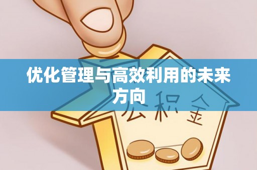 创业优化管理与高效利用的未来方向