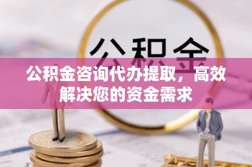创业公积金咨询代办提取，高效解决您的资金需求