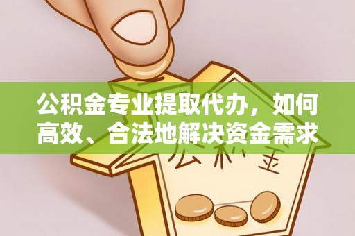 创业公积金专业提取代办，如何高效、合法地解决资金需求？