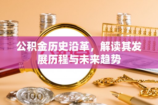 创业公积金历史沿革，解读其发展历程与未来趋势