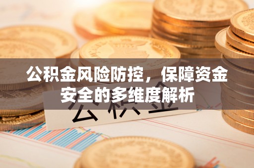 创业公积金风险防控，保障资金安全的多维度解析