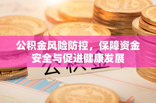 创业公积金风险防控，保障资金安全与促进健康发展