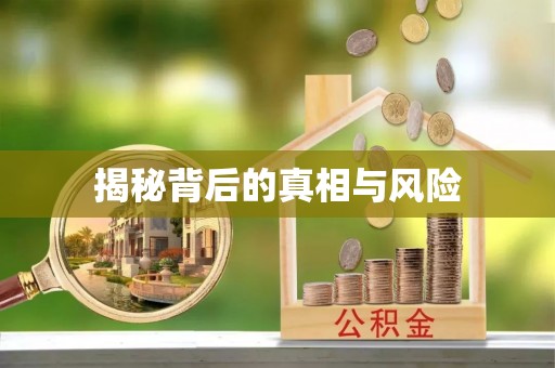 创业揭秘背后的真相与风险
