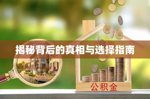 创业揭秘背后的真相与选择指南
