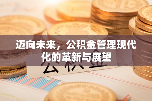 创业迈向未来，公积金管理现代化的革新与展望