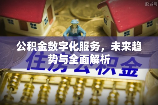 创业公积金数字化服务，未来趋势与全面解析
