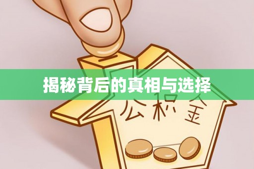 创业揭秘背后的真相与选择