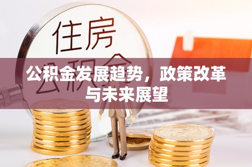 创业公积金发展趋势，政策改革与未来展望