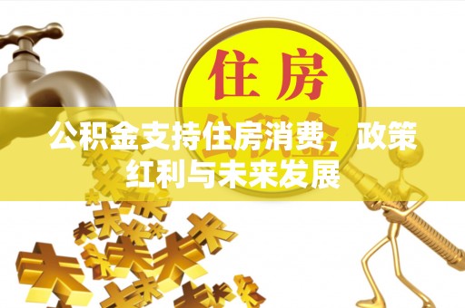 创业公积金支持住房消费，政策红利与未来发展