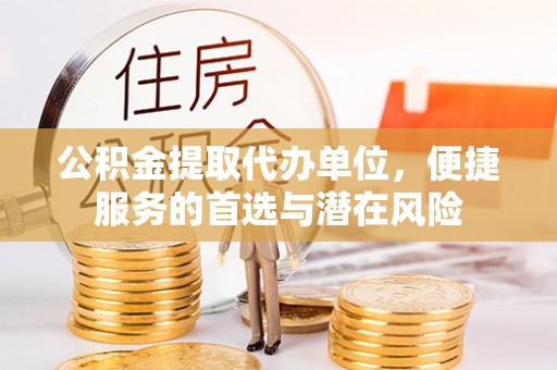 创业公积金提取代办单位，便捷服务的首选与潜在风险