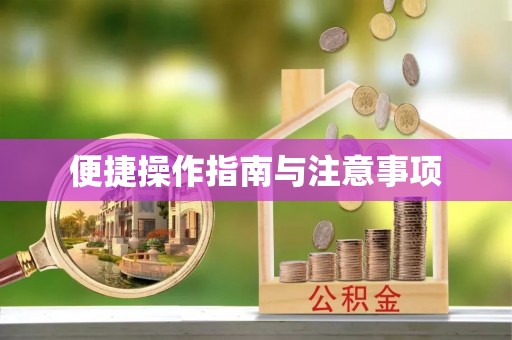 创业便捷操作指南与注意事项